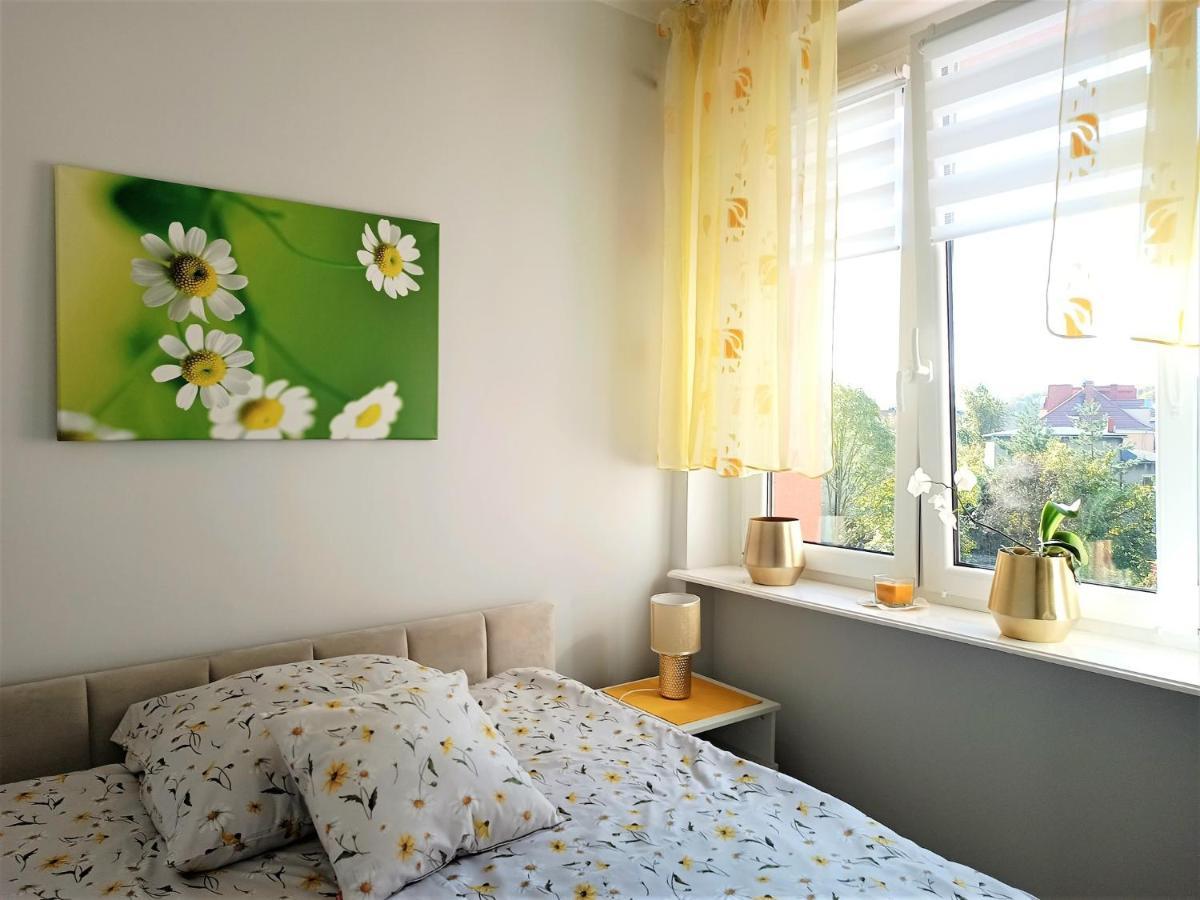Szmaragdowy Apartament Przy Ulicy Opolskiej Tarnowskie Góry Dış mekan fotoğraf
